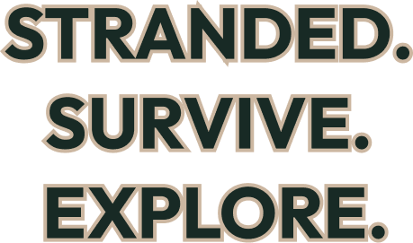 Screenshot of the game